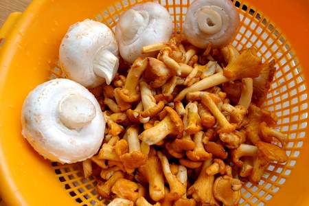 Киш с грибами и моцареллой