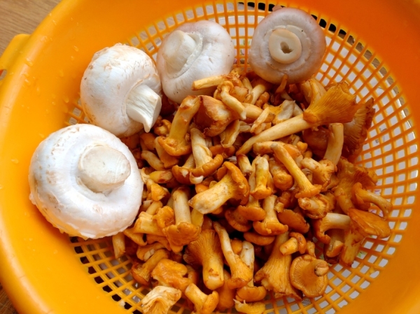 Киш с грибами и моцареллой