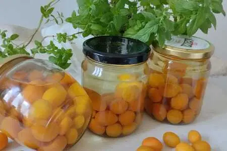 Компот из алычи Компот из алычи