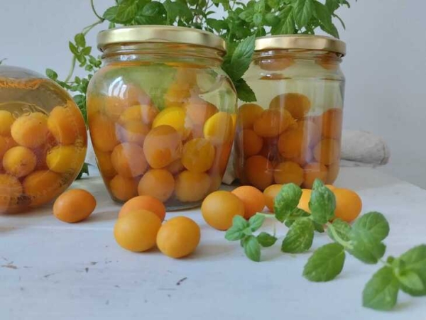 Компот из алычи Компот из алычи