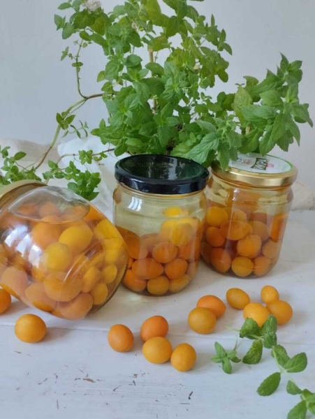 Компот из алычи Компот из алычи