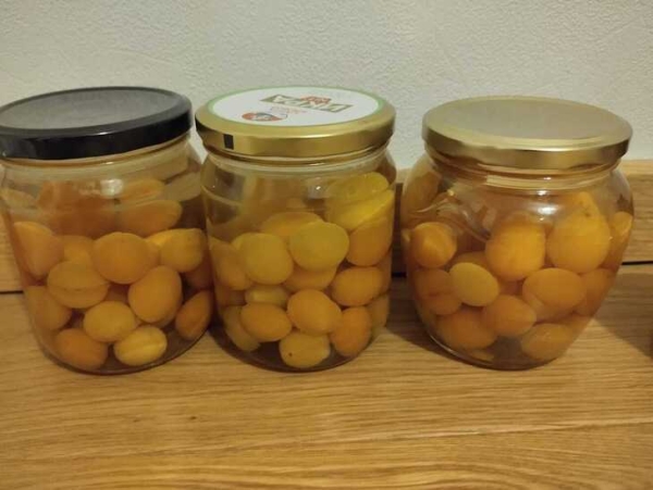 Компот из алычи Компот из алычи