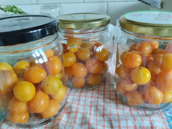 Компот из алычи Компот из алычи