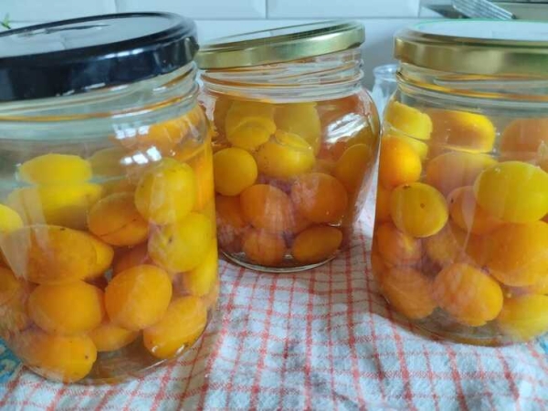 Компот из алычи Компот из алычи