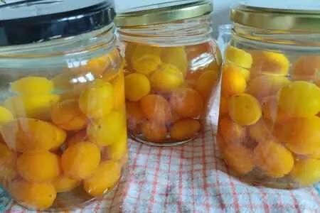 Компот из алычи Компот из алычи