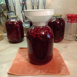 Компот из ирги и малины Компот из ирги и малины