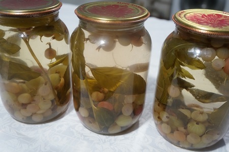 Компот из крыжовника на зиму Компот из крыжовника на зиму