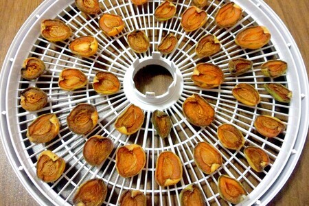 Компотная смесь из фруктов Компотная смесь из фруктов