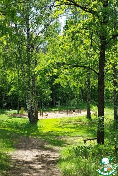 Котлеты из индейки в стиле "Спорт-шик"