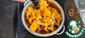Куриный суп с лисичками Куриный суп с лисичками