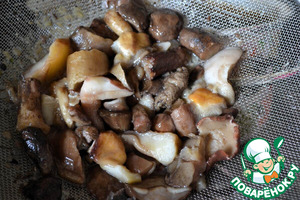 Куриный заколот с лесными грибами