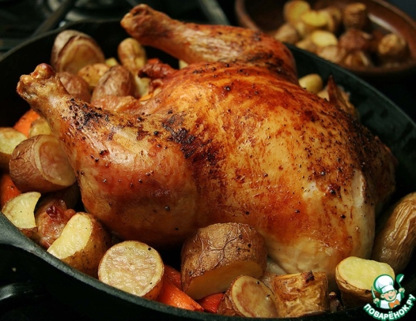 Молодой петелин с сельдереем в духовке Молодой петелин с сельдереем в духовке