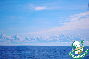 Мороженое ванильное с голубикой Мороженое ванильное с голубикой