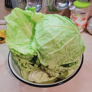 Нежные голубцы из савойской капусты Нежные голубцы из савойской капусты