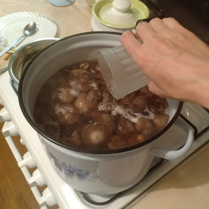 Опята, маринованные без гвоздики