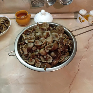 Опята, маринованные без гвоздики