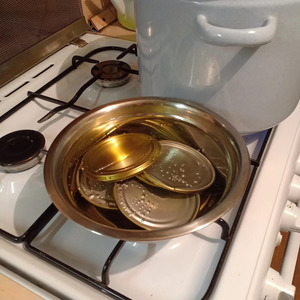 Опята, маринованные без гвоздики