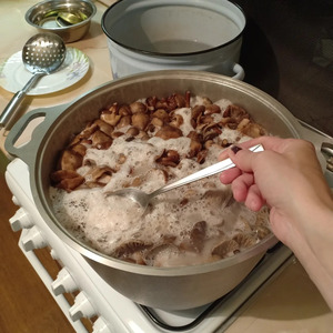 Опята, маринованные без гвоздики