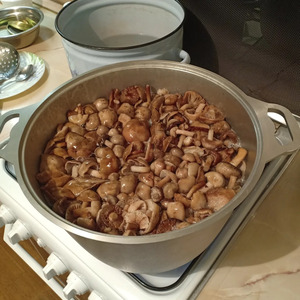 Опята, маринованные без гвоздики