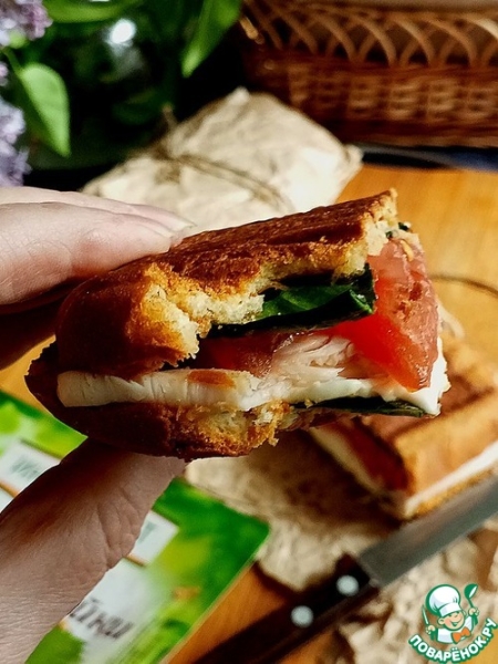 Панини-гриль