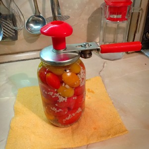 Помидоры "Под снегом" Помидоры "Под снегом"