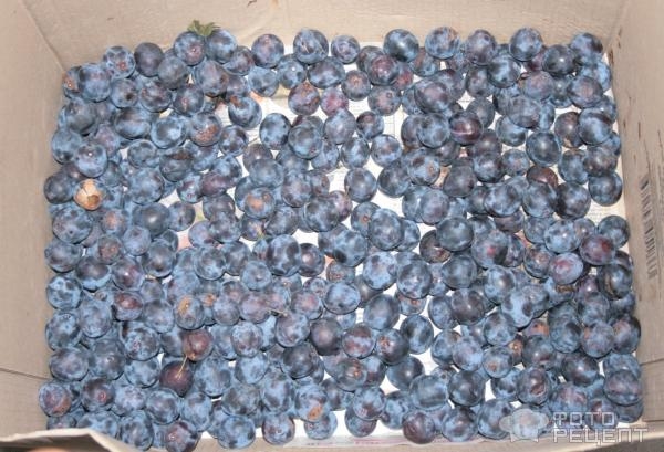 Рецепт: Булочки из слоеного теста - С двумя сливовыми соусами и двумя начинками