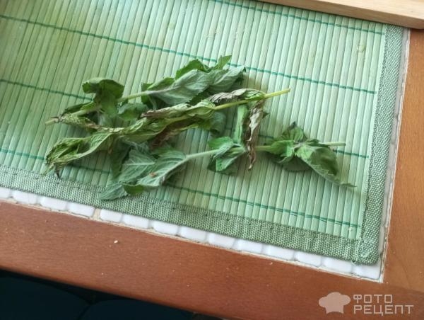 Рецепт: Домашний лимонад - Хорошо освежает в жару