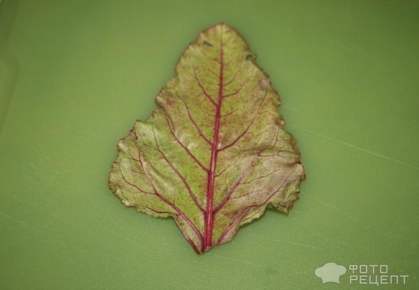 Рецепт: Голубцы из свекольных листьев - с молодой свекольной ботвой Рецепт: Голубцы из свекольных листьев - с молодой свекольной ботвой