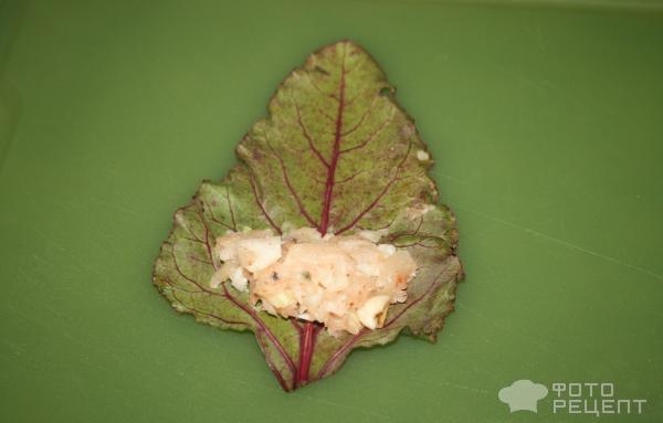 Рецепт: Голубцы из свекольных листьев - с молодой свекольной ботвой Рецепт: Голубцы из свекольных листьев - с молодой свекольной ботвой
