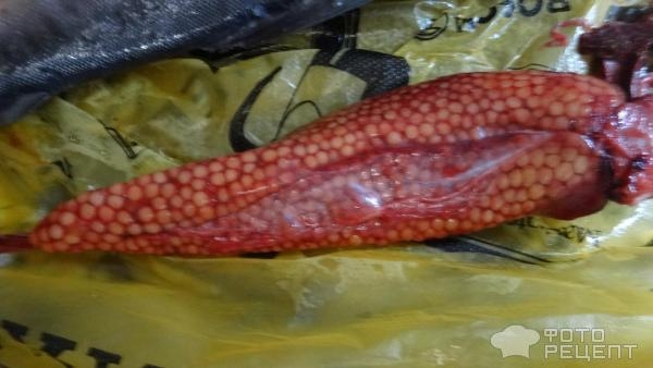 Рецепт: Горбуша малосоленая сухим посолом - Вкуснейший вариант засолки горбуши. Быстро , просто. Рецепт: Горбуша малосоленая сухим посолом - Вкуснейший вариант засолки горбуши. Быстро , просто.