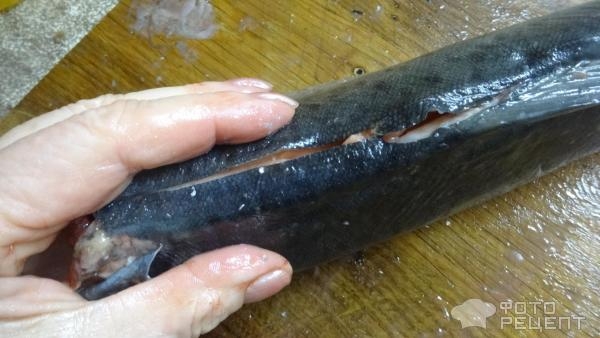 Рецепт: Горбуша малосоленая сухим посолом - Вкуснейший вариант засолки горбуши. Быстро , просто. Рецепт: Горбуша малосоленая сухим посолом - Вкуснейший вариант засолки горбуши. Быстро , просто.