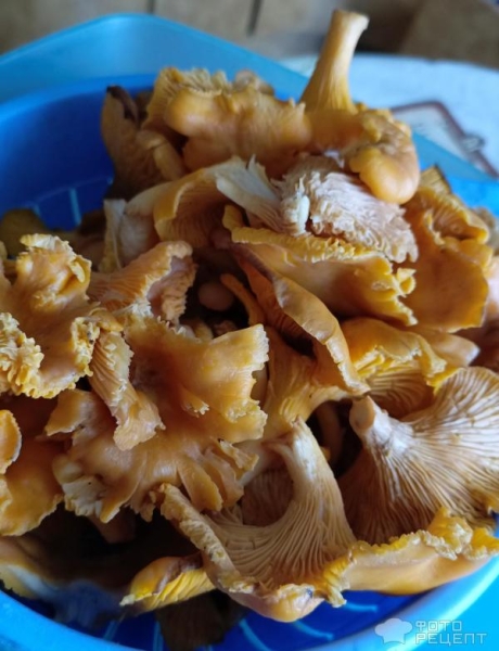 Рецепт: Грибной суп с лисичками - с картофелем и поджаркой