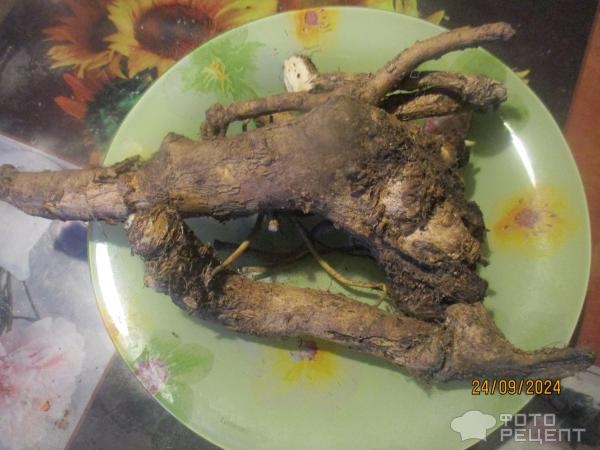 Рецепт: Хреновина - домашняя Рецепт: Хреновина - домашняя