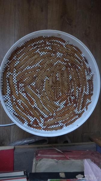 Рецепт: Кальмары сушеные - Отличный перекус. Рецепт: Кальмары сушеные - Отличный перекус.