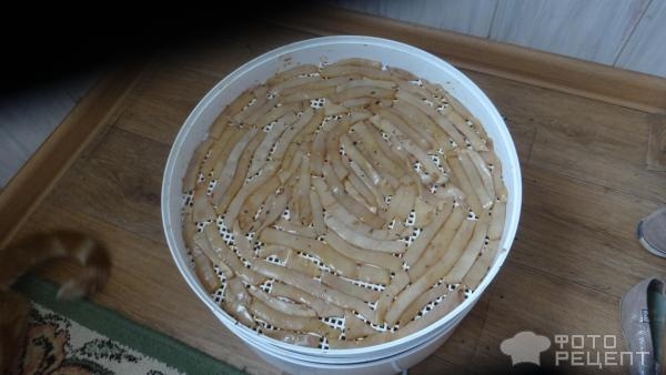 Рецепт: Кальмары сушеные - Отличный перекус. Рецепт: Кальмары сушеные - Отличный перекус.