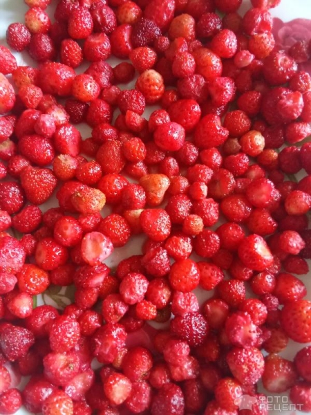 Рецепт: Клубничный сорбет - С добавлением мяты и молока. Рецепт: Клубничный сорбет - С добавлением мяты и молока.