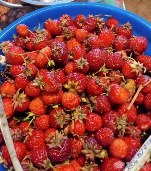 Рецепт: Клубничный сорбет - С добавлением мяты и молока. Рецепт: Клубничный сорбет - С добавлением мяты и молока.