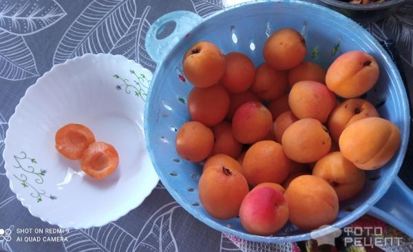 Рецепт: Компот абрикосовый - Из недоспелых абрикосов