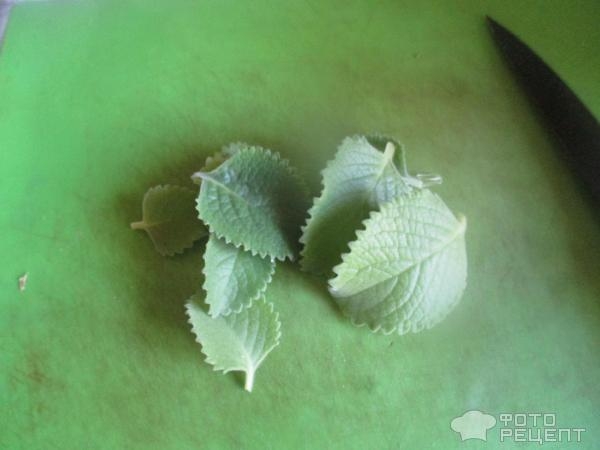 Рецепт: Компот из свежих яблок и черноплодки - с добавлением других фруктов и ягод