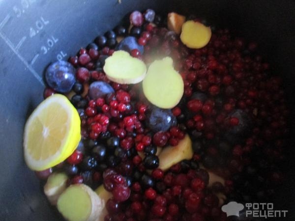 Рецепт: Компот из свежих яблок и черноплодки - с добавлением других фруктов и ягод