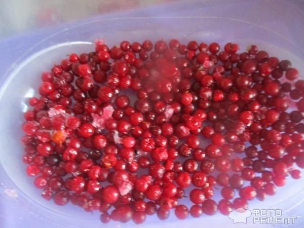 Рецепт: Компот из свежих яблок и черноплодки - с добавлением других фруктов и ягод