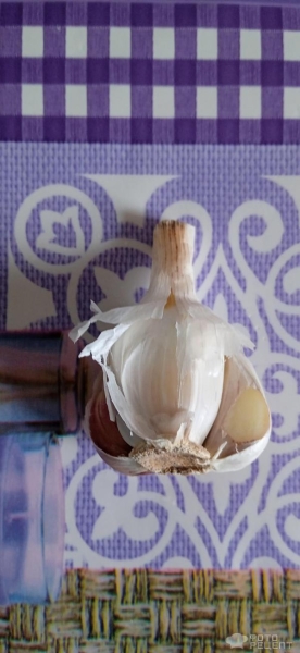 Рецепт: Консервированные помидоры "в снегу" - С чесноком Рецепт: Консервированные помидоры "в снегу" - С чесноком