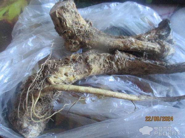 Рецепт: Консервированные помидоры "в снегу" - самый простой рецепт