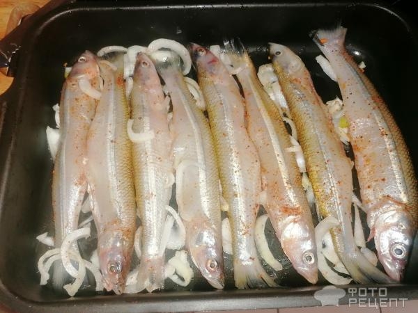 Рецепт: Корюшка, запеченная в духовке - вкусная рыбка, но на любителя Рецепт: Корюшка, запеченная в духовке - вкусная рыбка, но на любителя