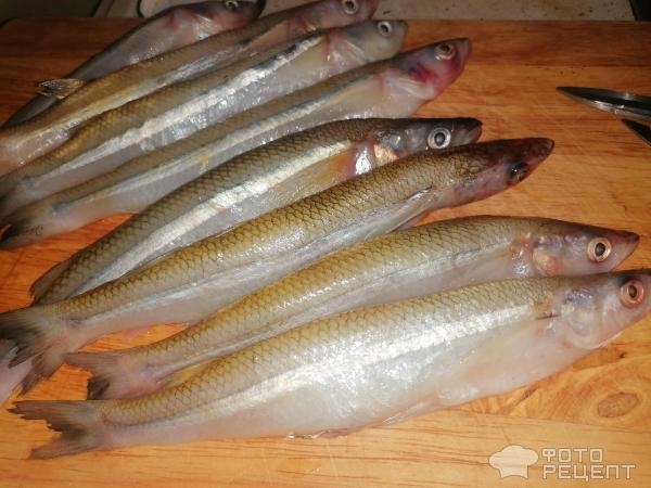 Рецепт: Корюшка, запеченная в духовке - вкусная рыбка, но на любителя Рецепт: Корюшка, запеченная в духовке - вкусная рыбка, но на любителя