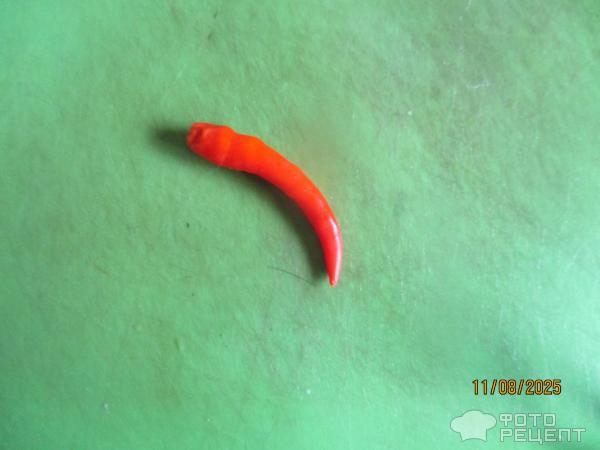 Рецепт: Курица с баклажанами и овощами - в мультиварке Рецепт: Курица с баклажанами и овощами - в мультиварке