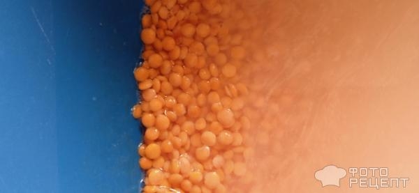 Рецепт: Лепешки из красной чечевицы с тунцом - С тунцом и овощами Рецепт: Лепешки из красной чечевицы с тунцом - С тунцом и овощами