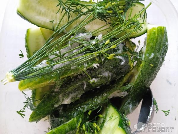 Рецепт: Малосольные огурчики за 8 часов - Изумрудные, хрустящие и без рассола Рецепт: Малосольные огурчики за 8 часов - Изумрудные, хрустящие и без рассола