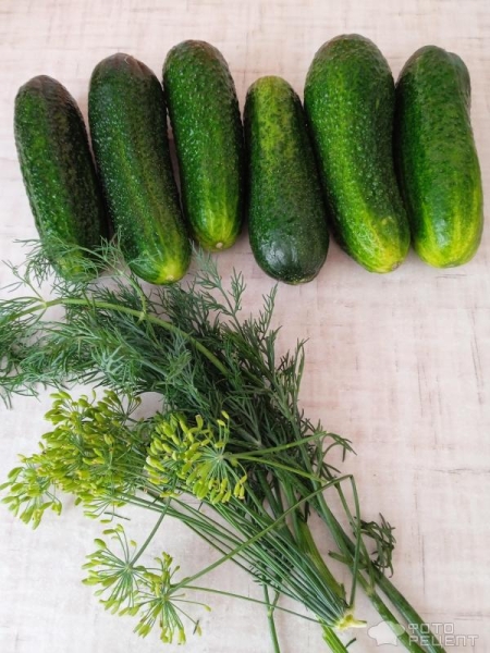 Рецепт: Малосольные огурчики за 8 часов - Изумрудные, хрустящие и без рассола Рецепт: Малосольные огурчики за 8 часов - Изумрудные, хрустящие и без рассола