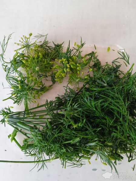 Рецепт: Малосольные огурчики за 8 часов - Изумрудные, хрустящие и без рассола Рецепт: Малосольные огурчики за 8 часов - Изумрудные, хрустящие и без рассола